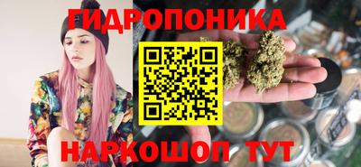 бошки Гай