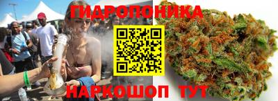 бошки Гай