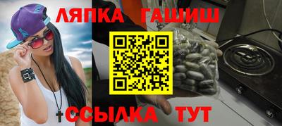 мяу мяу мука Гатчина