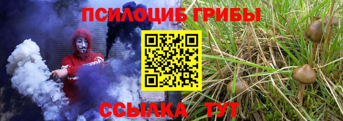 Псилоцибиновые грибы Magic Shrooms Камень-на-Оби
